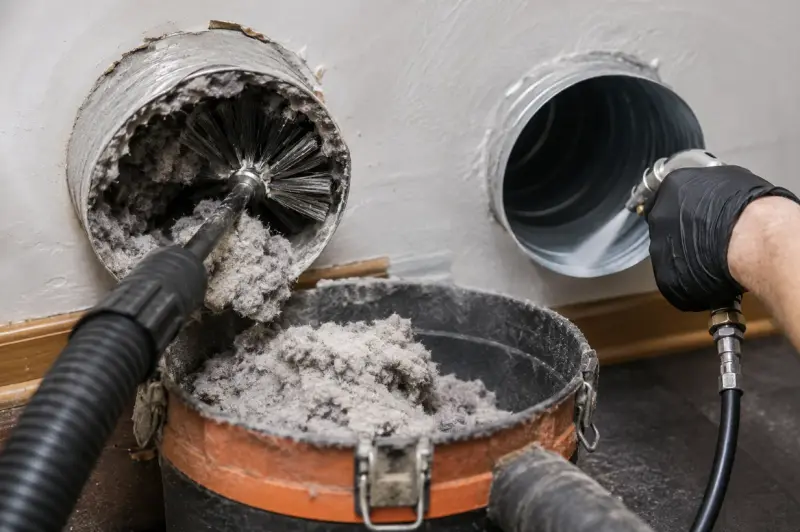 Removing heavy lint buildup from a residential dryer vent to improve airflow and safety.